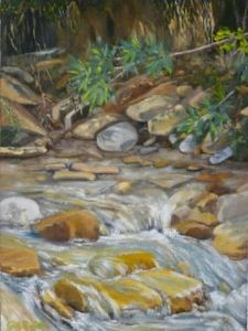 "Rushing Water-Hogsback"