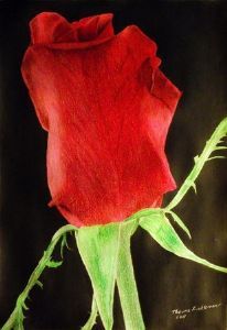 "Red Rose 1"