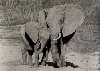 "Elephants"