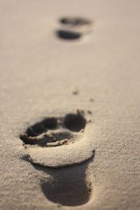 "Foot Prints"