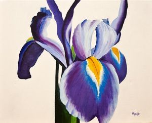 "purple iris"