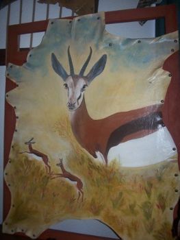 "springbok on alert"