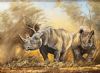 "Rhino - big 5 (Lorna Manthe)"