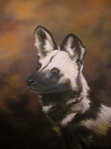 "Wild Dog (Study)"