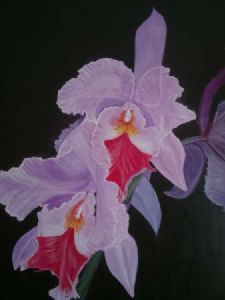 "Orchid"