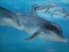 "Dolphins"