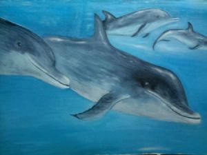 "Dolphins"