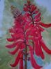 "Flame Tree"