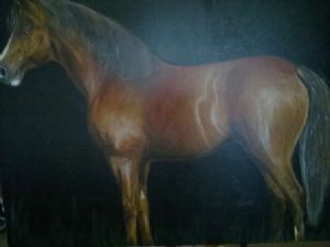 "Horse Full Body"