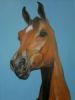 "Horse Head"