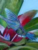 "hummingbird"