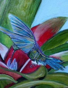 "hummingbird"