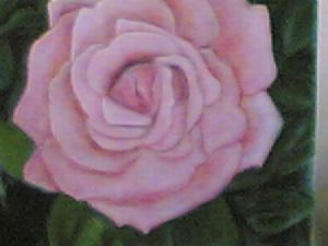 "Pink Rose"