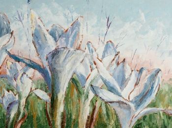 "Crocus"