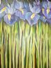 "Irises"
