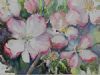 "Quince Blossoms"