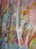 "Enchanted Forest"