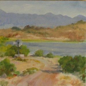 "Karoo Farm Dam"