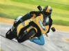 "Suzuki TL1000R"