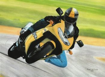 "Suzuki TL1000R"