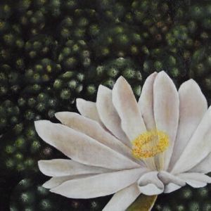 "Creamy Dream"