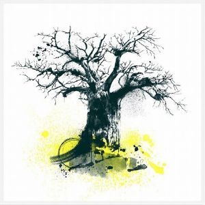 "Baobab 1 "