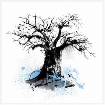 "Baobab 2"