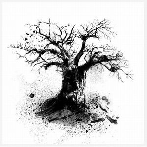 "Baobab 3"