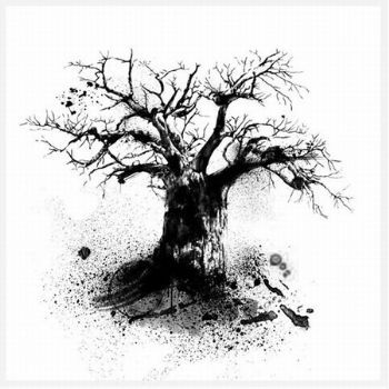 "Baobab 3"