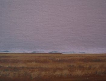 "Namibia after rain III"