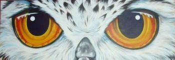 "Owls Eyes"