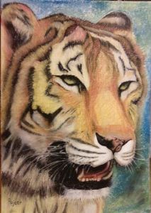"Tiger"