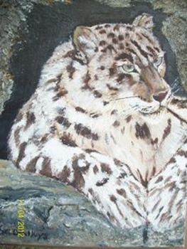 "Snow Leopard"