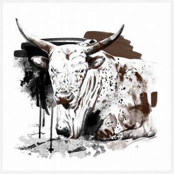 "Nguni Bull"