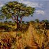 "Country Road"