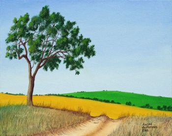 "Colorful Fields"