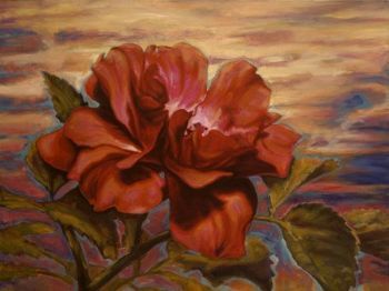 "Evening Rose"