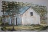 "House Under the Trees"