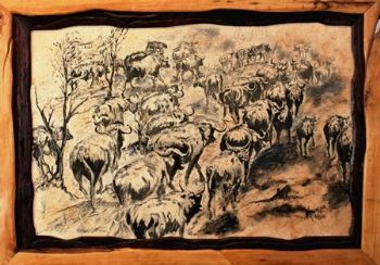 "Buffalo Herd"