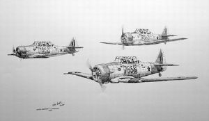 "SAAF Harvard Formation"