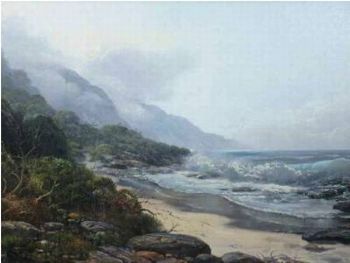"Wildcoast "