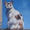 "Calico Cat"
