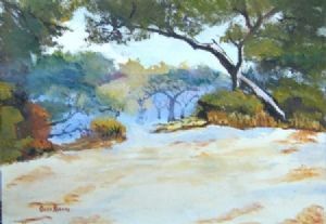 "Bushveldt Trees"