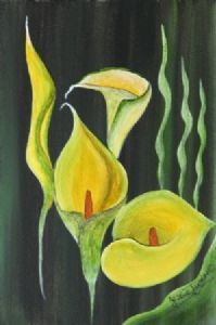 "Yellow Arums"