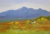 "Farm Sheep Bredasdorp"