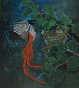 "Fly Catcher 2"
