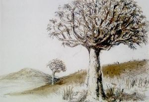 "Aloe Trees in Namaqualand"