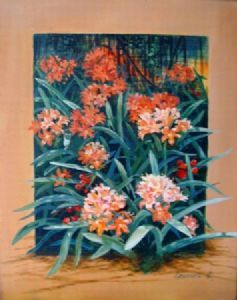 "Clivia"