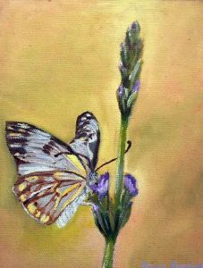 "Sweet Lavender"