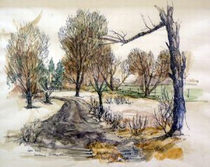 "Lucerne Farm Queenstown"
